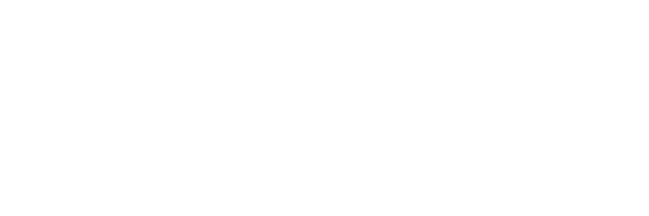 Digital Asset